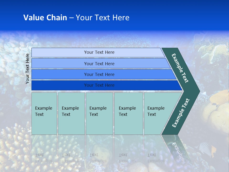 Reefscape Aqua Close Up PowerPoint Template
