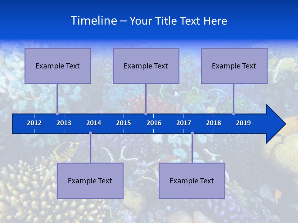 Reefscape Aqua Close Up PowerPoint Template