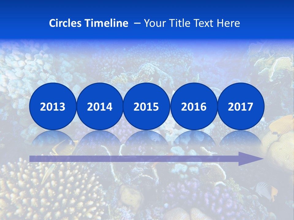 Reefscape Aqua Close Up PowerPoint Template