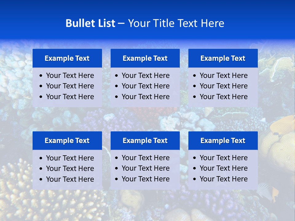 Reefscape Aqua Close Up PowerPoint Template