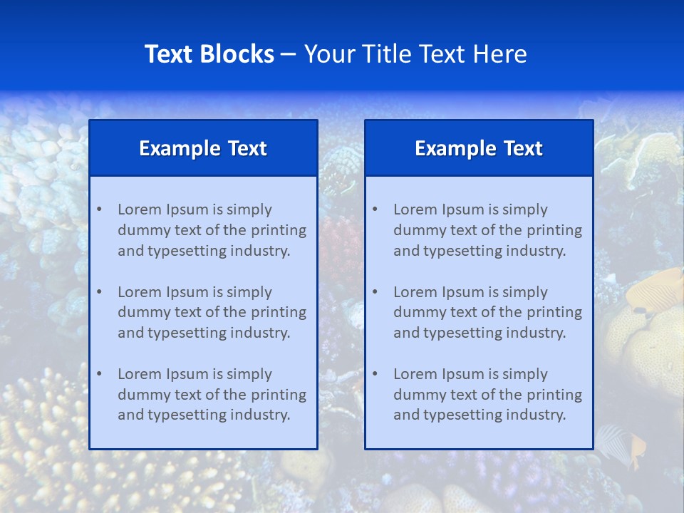 Reefscape Aqua Close Up PowerPoint Template