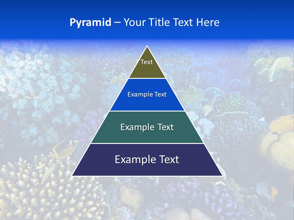 Reefscape Aqua Close Up PowerPoint Template