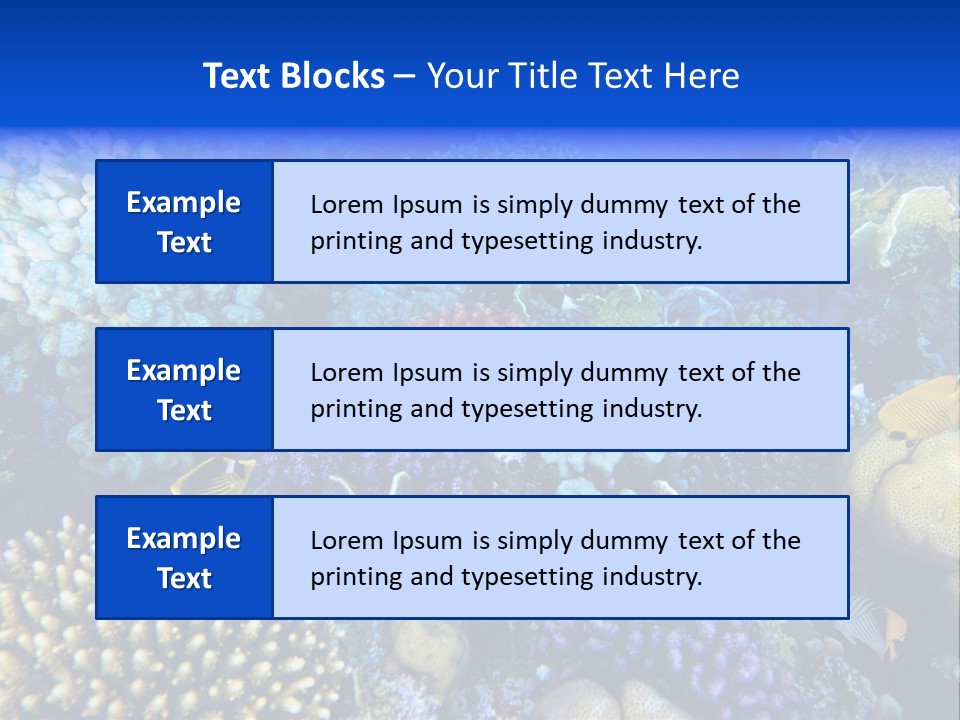 Reefscape Aqua Close Up PowerPoint Template