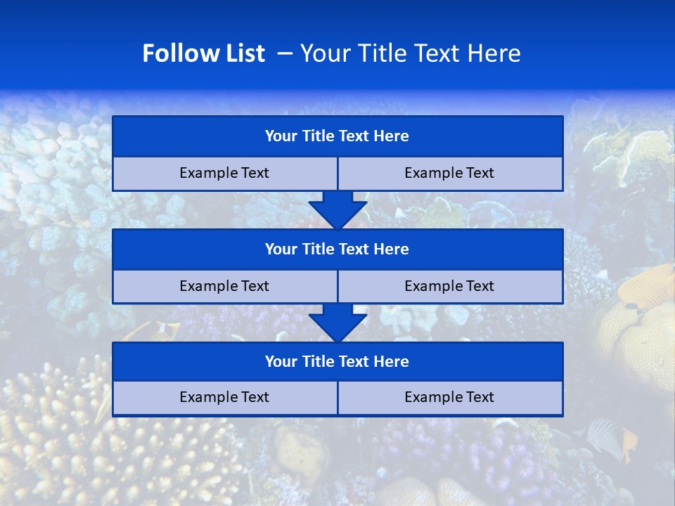 Reefscape Aqua Close Up PowerPoint Template