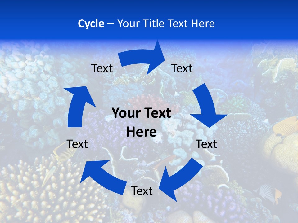 Reefscape Aqua Close Up PowerPoint Template