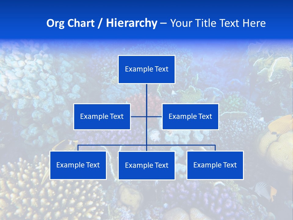 Reefscape Aqua Close Up PowerPoint Template