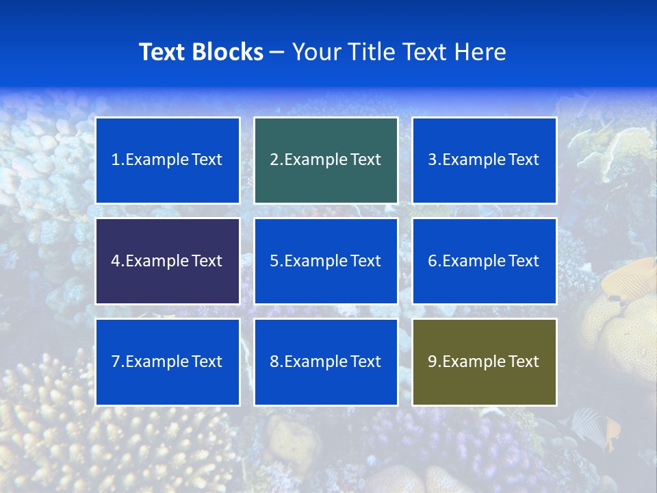 Reefscape Aqua Close Up PowerPoint Template