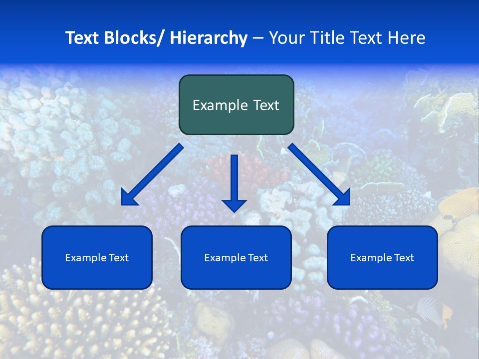 Reefscape Aqua Close Up PowerPoint Template
