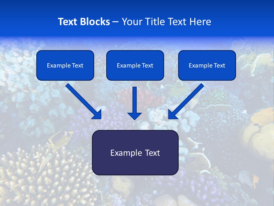 Reefscape Aqua Close Up PowerPoint Template