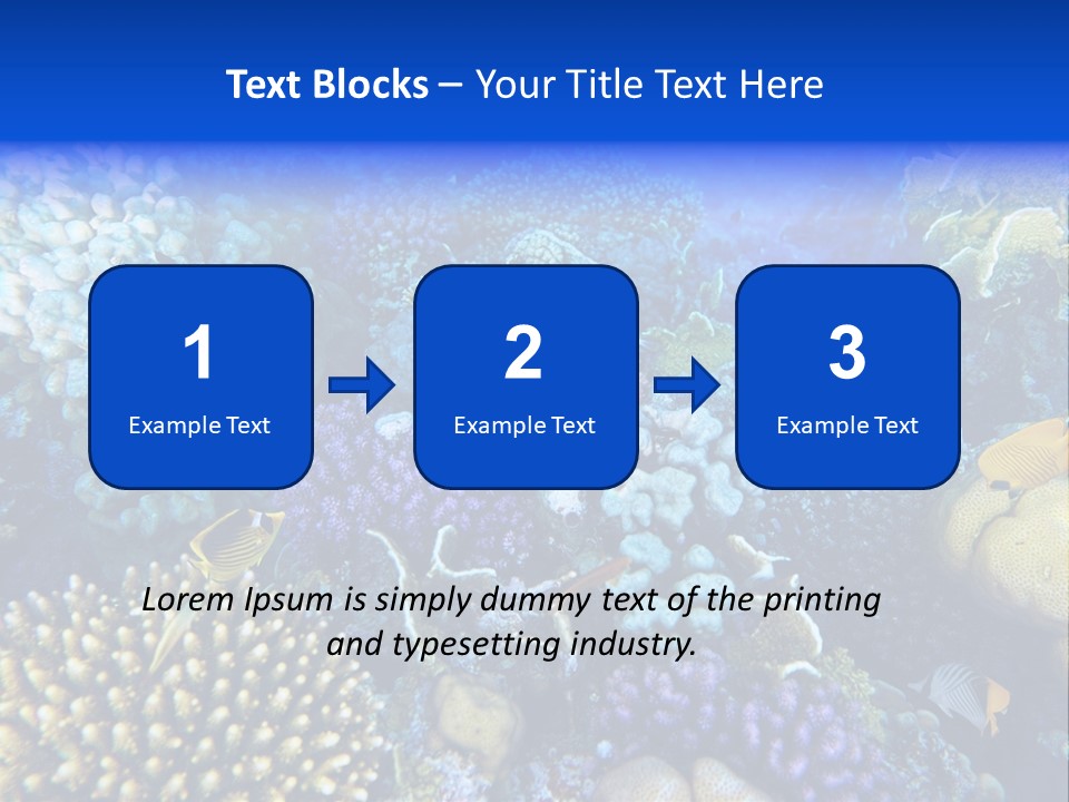 Reefscape Aqua Close Up PowerPoint Template
