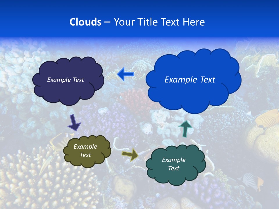 Reefscape Aqua Close Up PowerPoint Template