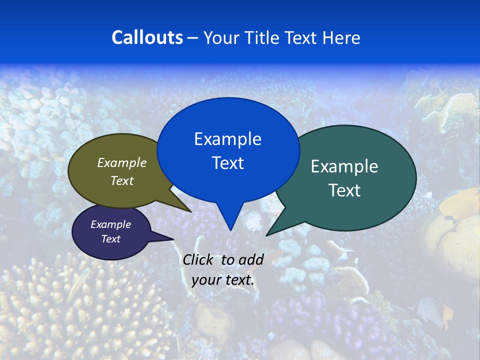 Reefscape Aqua Close Up PowerPoint Template