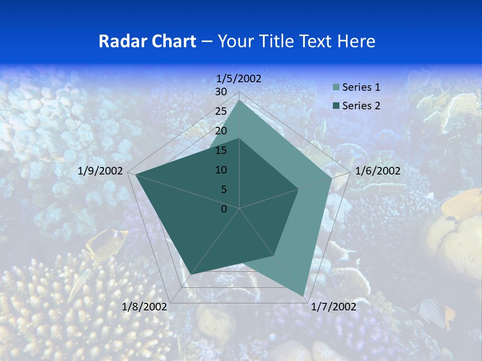 Reefscape Aqua Close Up PowerPoint Template