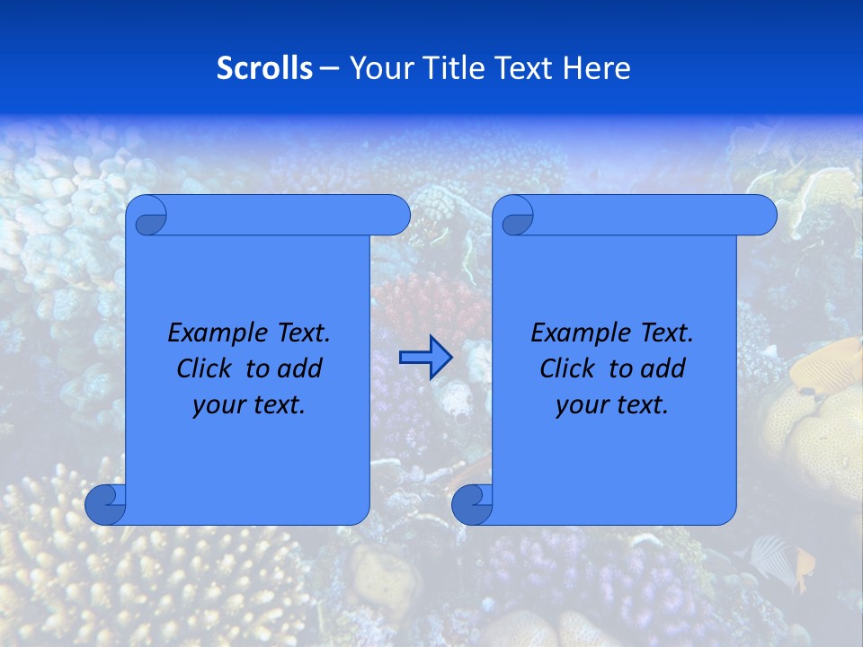 Reefscape Aqua Close Up PowerPoint Template