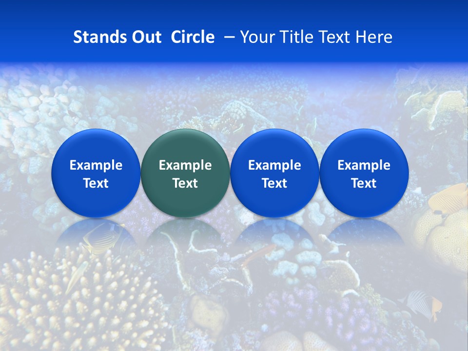 Reefscape Aqua Close Up PowerPoint Template