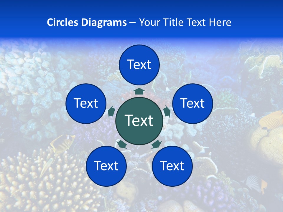 Reefscape Aqua Close Up PowerPoint Template