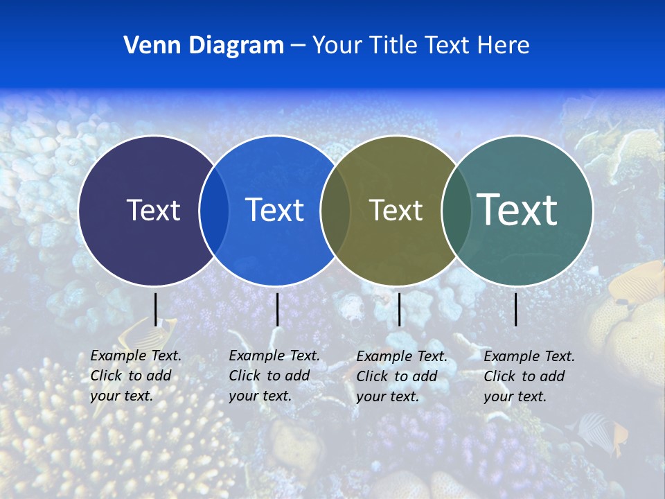Reefscape Aqua Close Up PowerPoint Template