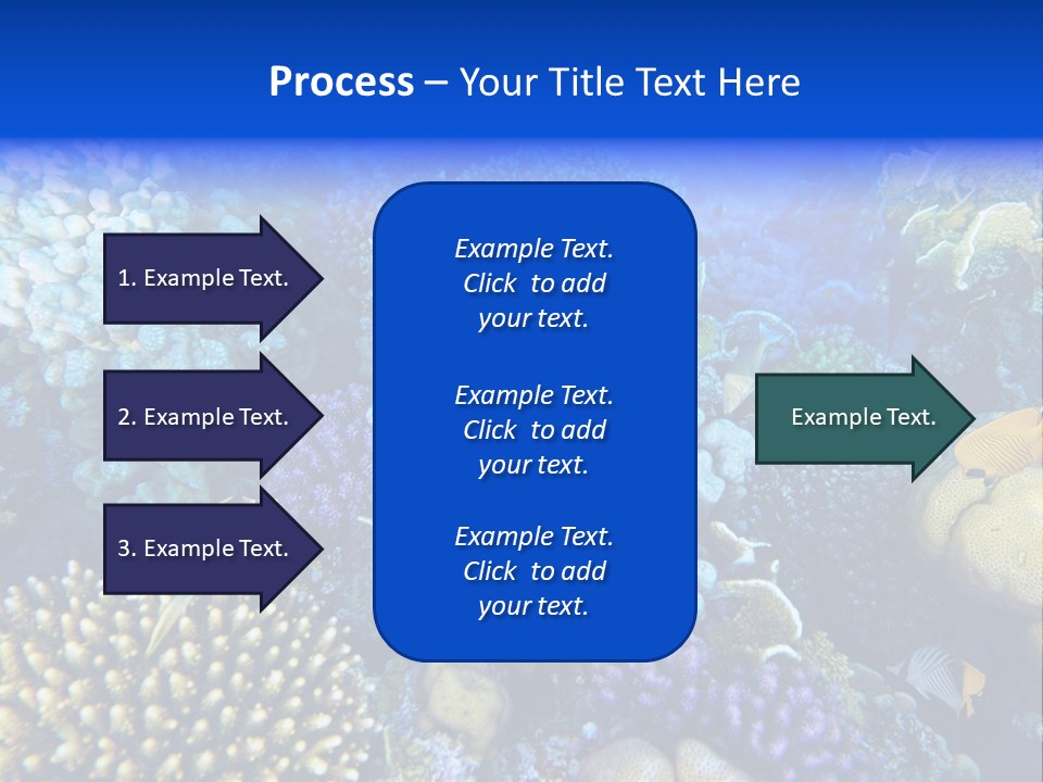 Reefscape Aqua Close Up PowerPoint Template