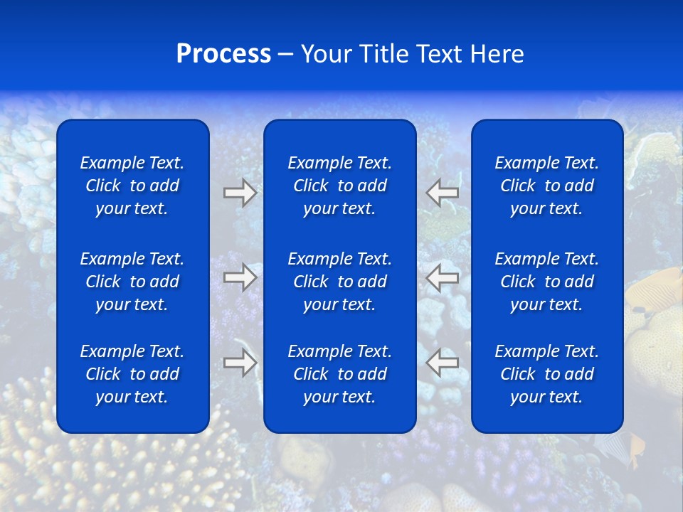 Reefscape Aqua Close Up PowerPoint Template