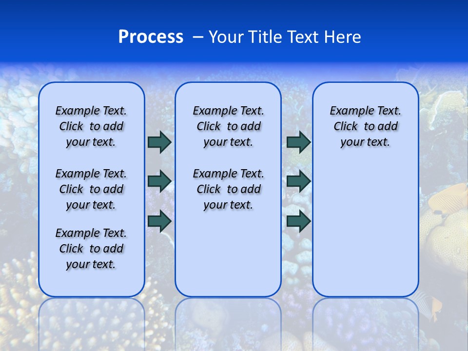 Reefscape Aqua Close Up PowerPoint Template