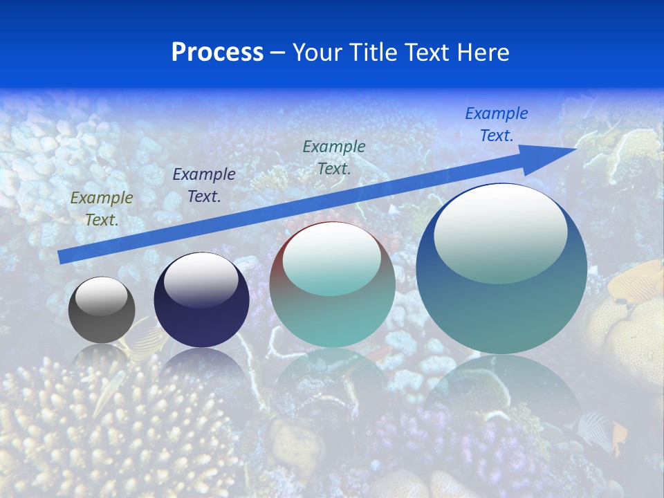 Reefscape Aqua Close Up PowerPoint Template
