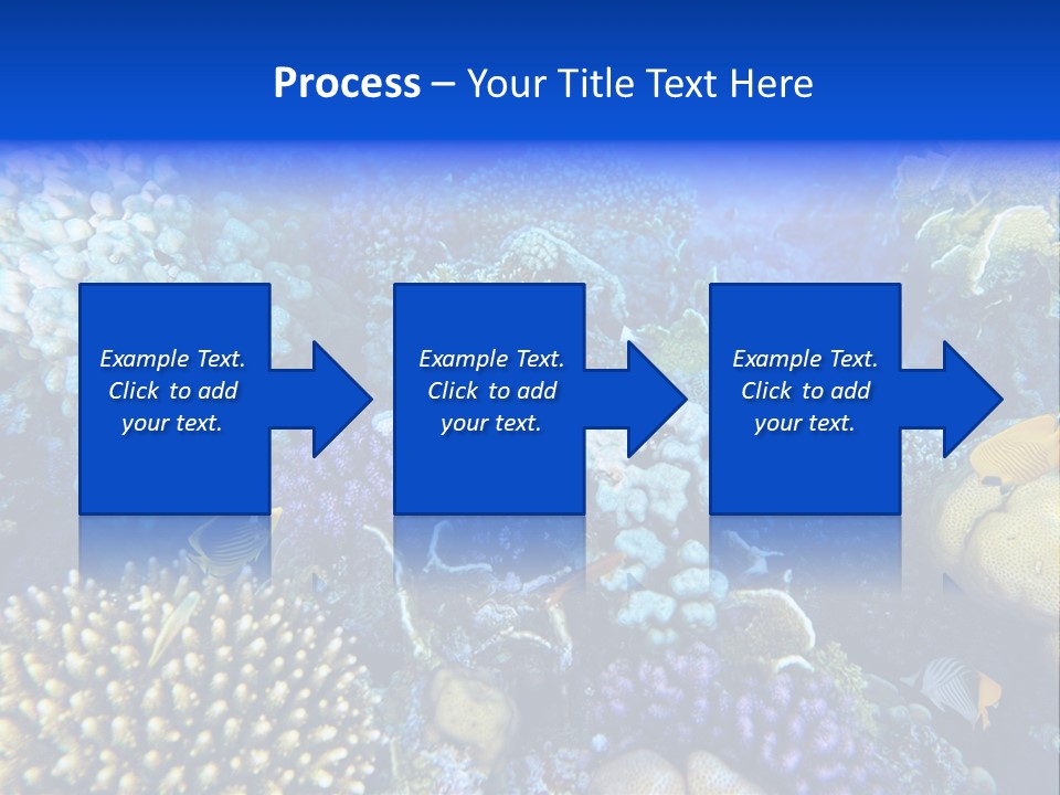 Reefscape Aqua Close Up PowerPoint Template