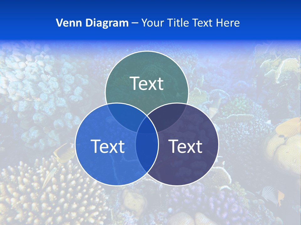 Reefscape Aqua Close Up PowerPoint Template
