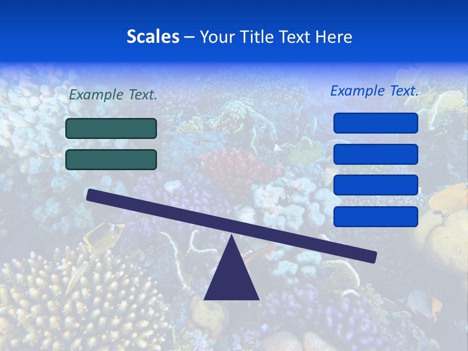 Reefscape Aqua Close Up PowerPoint Template