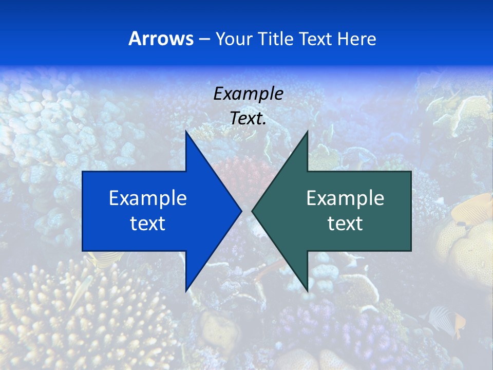 Reefscape Aqua Close Up PowerPoint Template