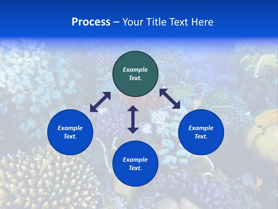 Reefscape Aqua Close Up PowerPoint Template