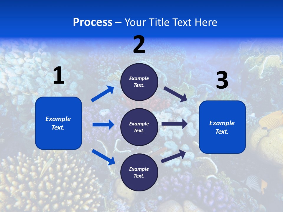 Reefscape Aqua Close Up PowerPoint Template