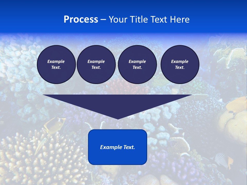 Reefscape Aqua Close Up PowerPoint Template