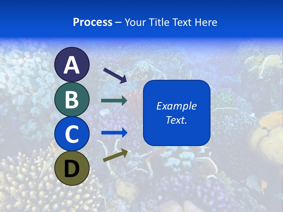 Reefscape Aqua Close Up PowerPoint Template