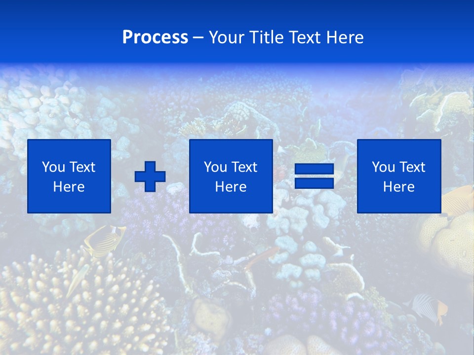 Reefscape Aqua Close Up PowerPoint Template