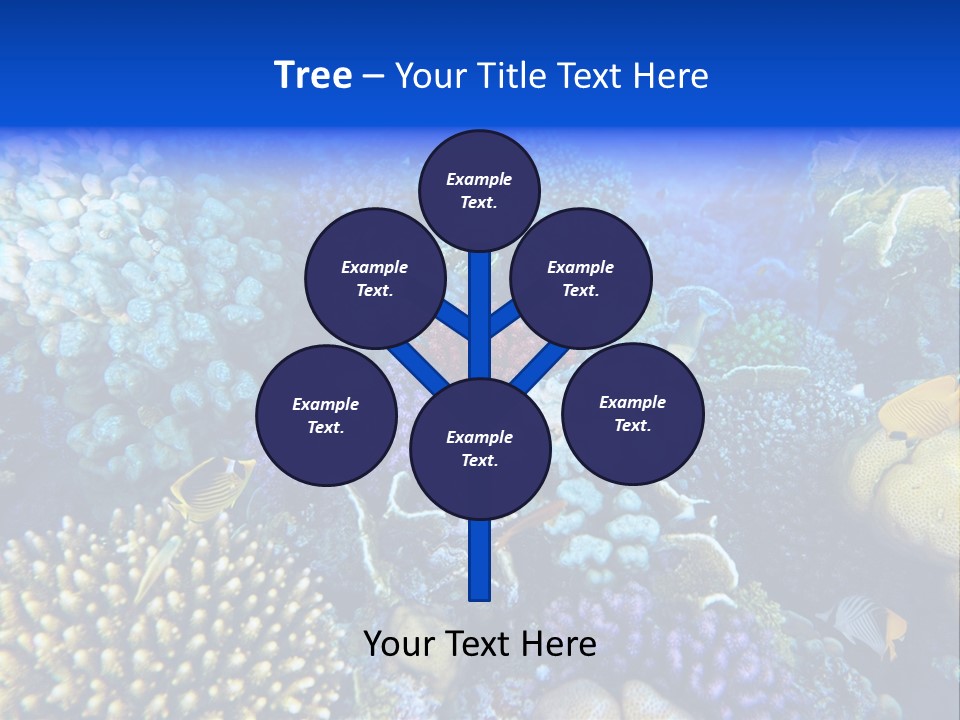 Reefscape Aqua Close Up PowerPoint Template