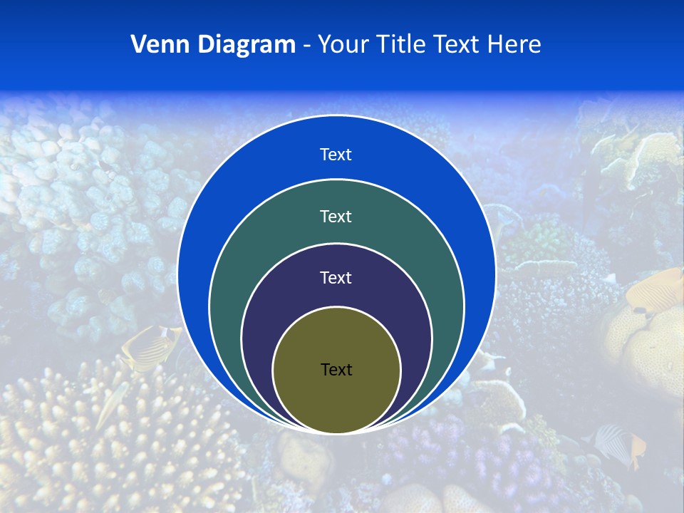Reefscape Aqua Close Up PowerPoint Template