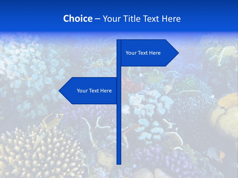 Reefscape Aqua Close Up PowerPoint Template