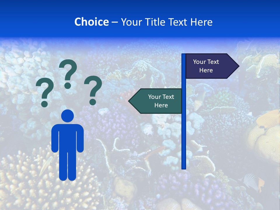 Reefscape Aqua Close Up PowerPoint Template