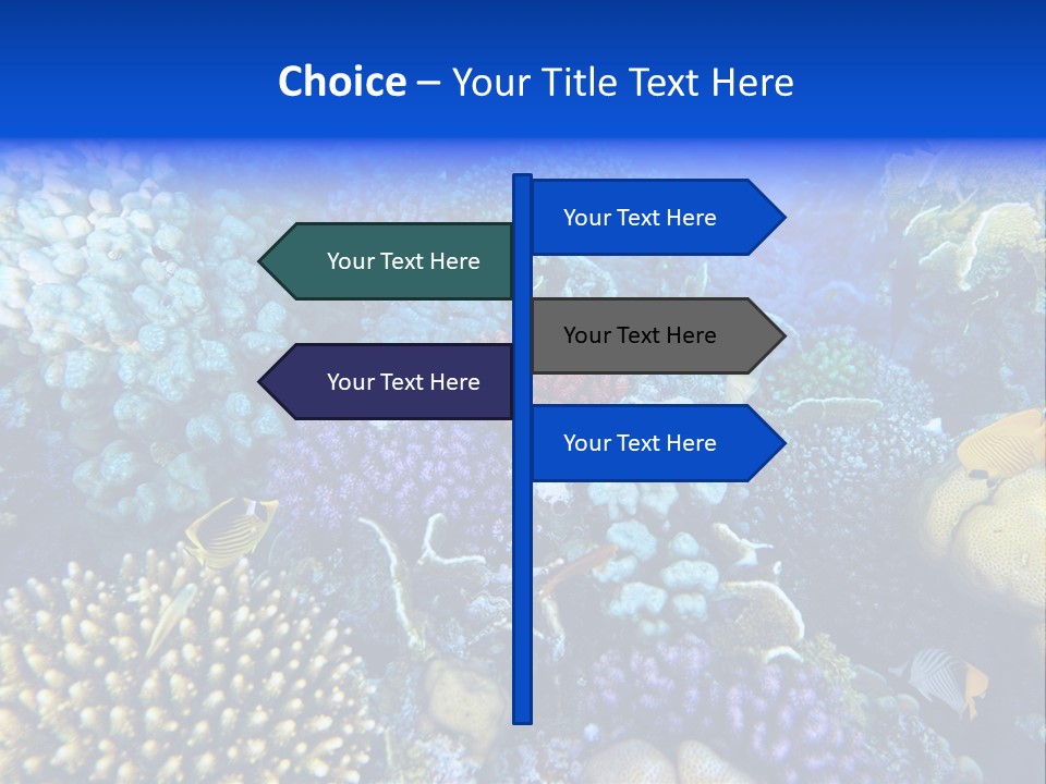 Reefscape Aqua Close Up PowerPoint Template