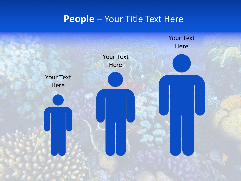 Reefscape Aqua Close Up PowerPoint Template