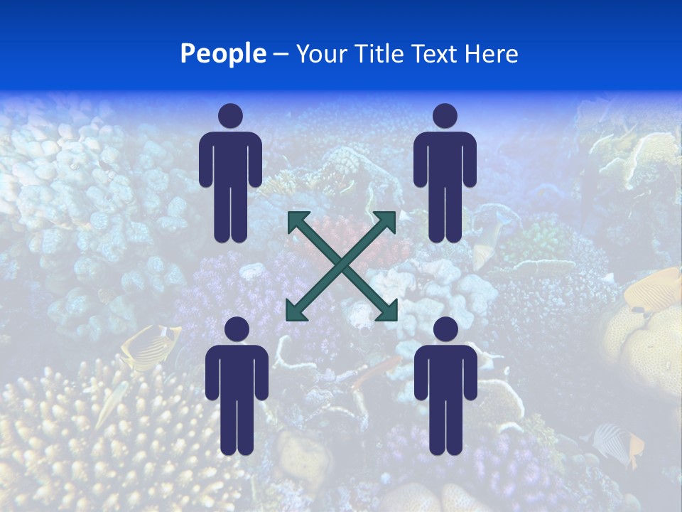 Reefscape Aqua Close Up PowerPoint Template