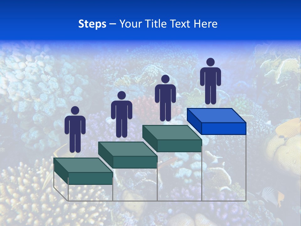 Reefscape Aqua Close Up PowerPoint Template