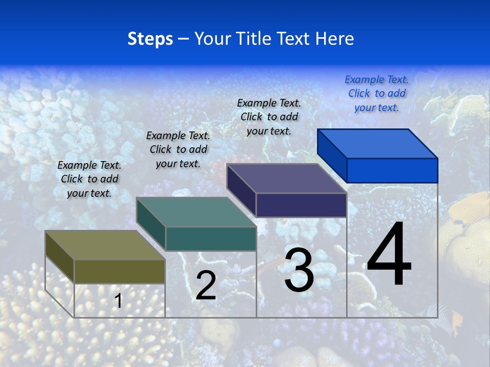 Reefscape Aqua Close Up PowerPoint Template