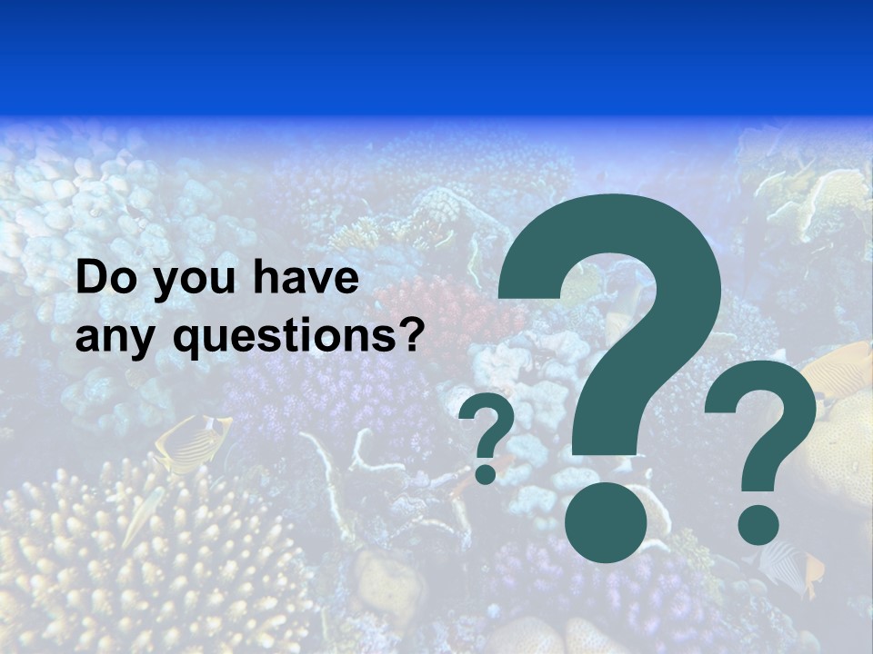 Reefscape Aqua Close Up PowerPoint Template