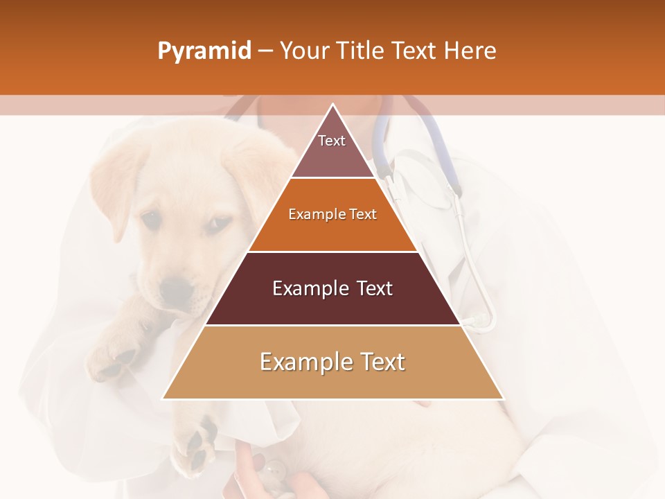 Studio Holding People PowerPoint Template