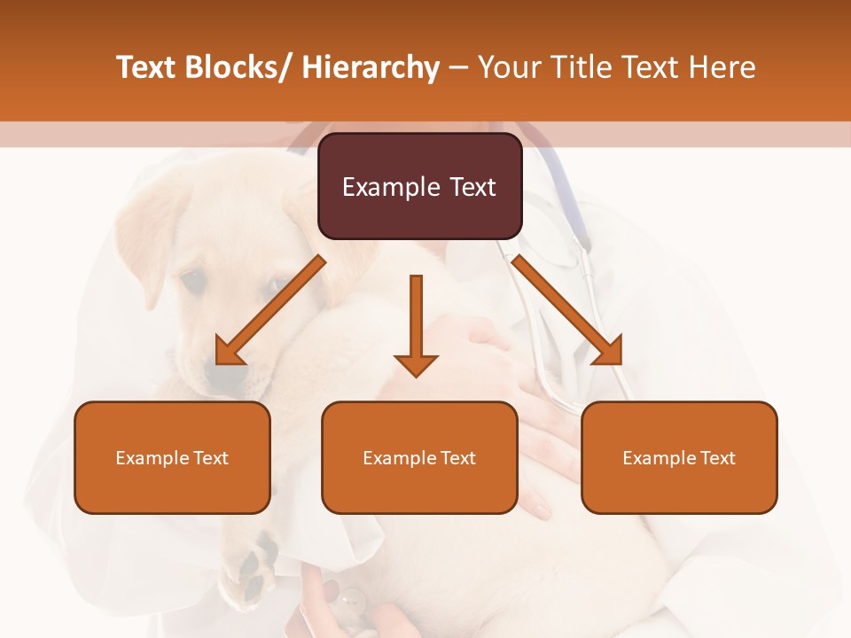 Studio Holding People PowerPoint Template