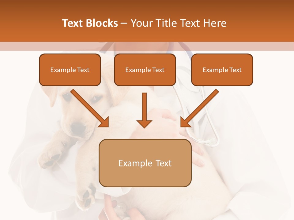 Studio Holding People PowerPoint Template