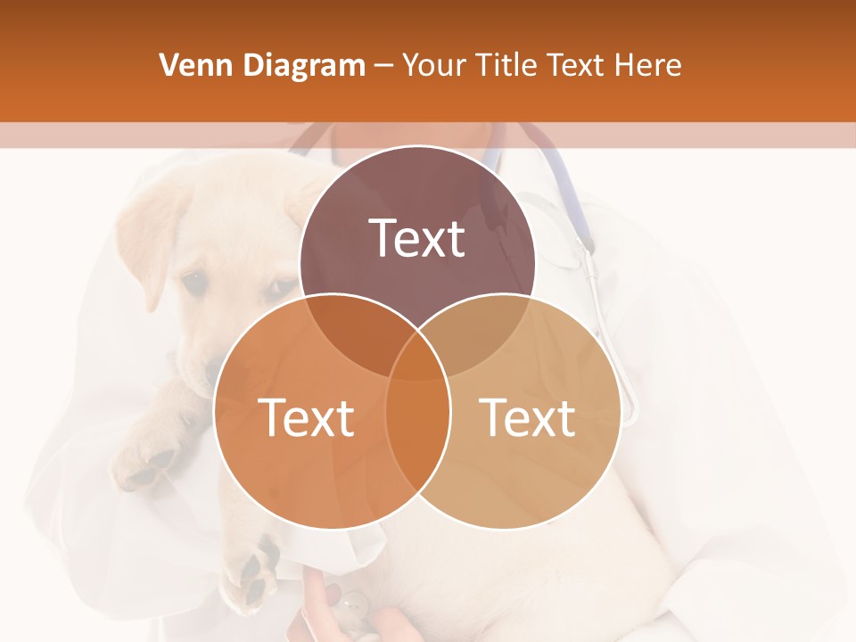 Studio Holding People PowerPoint Template