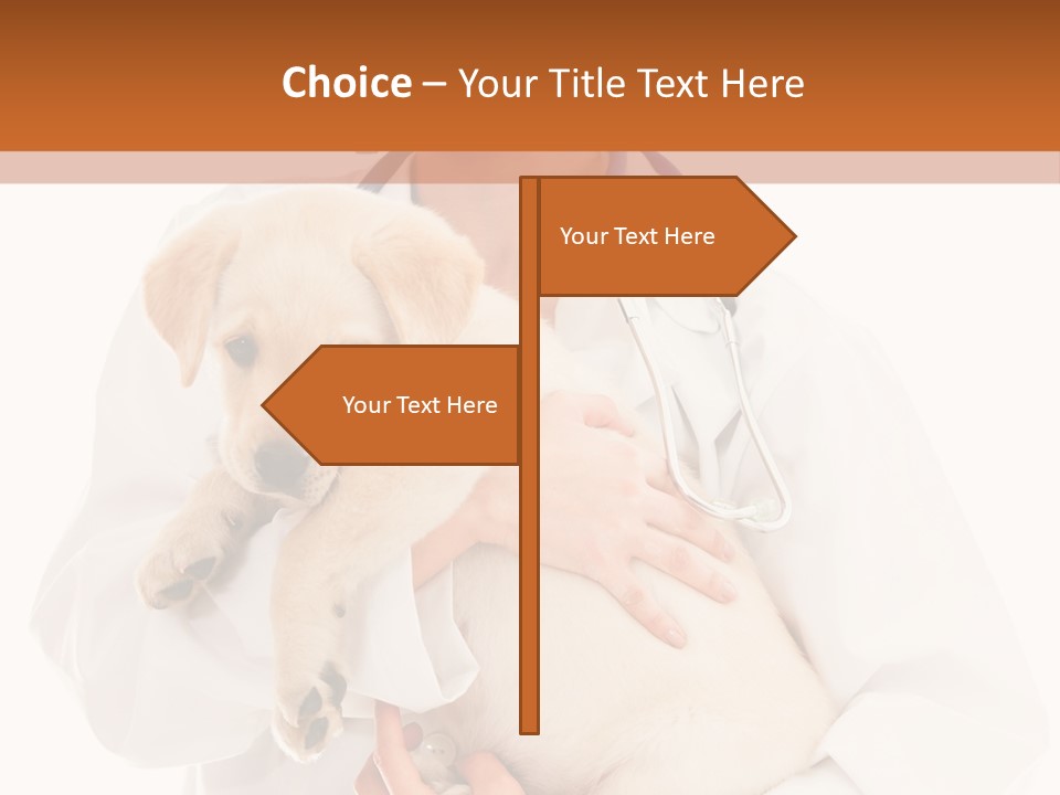 Studio Holding People PowerPoint Template