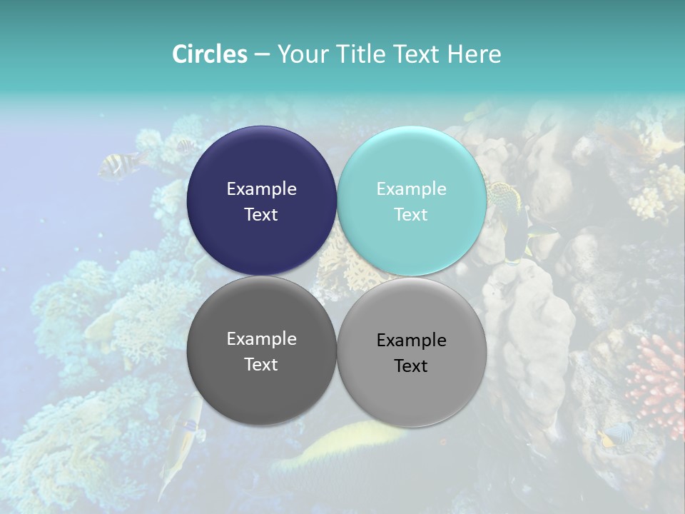Alive Aquarium Underwater PowerPoint Template